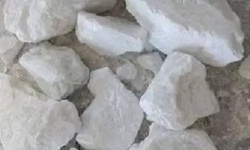 File photo of soapstone in Tadipatri