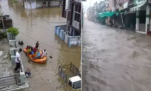 For representational purpose