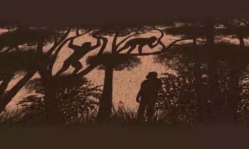 A representation of the modes of locomotion practiced by Sahelanthropus