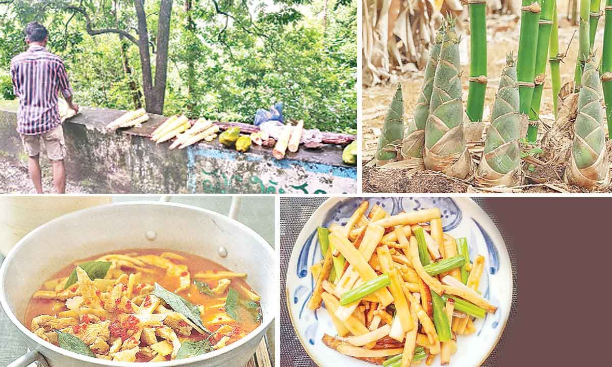 Bamboo shoot A staple diet of tribals