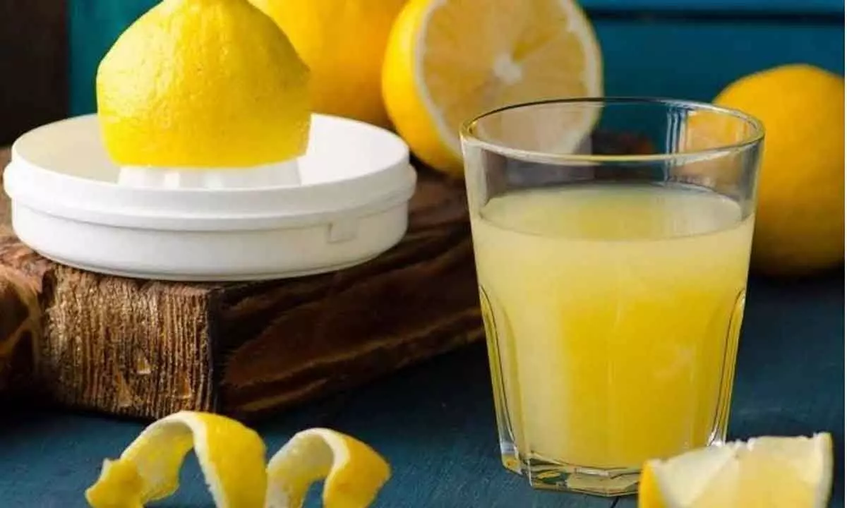 National Lemon Juice Day