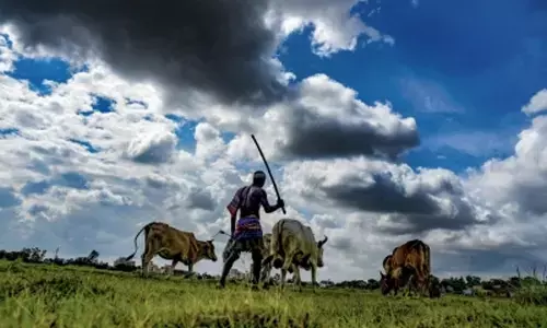 Punjab taps agro residues to speed up lean energy transition