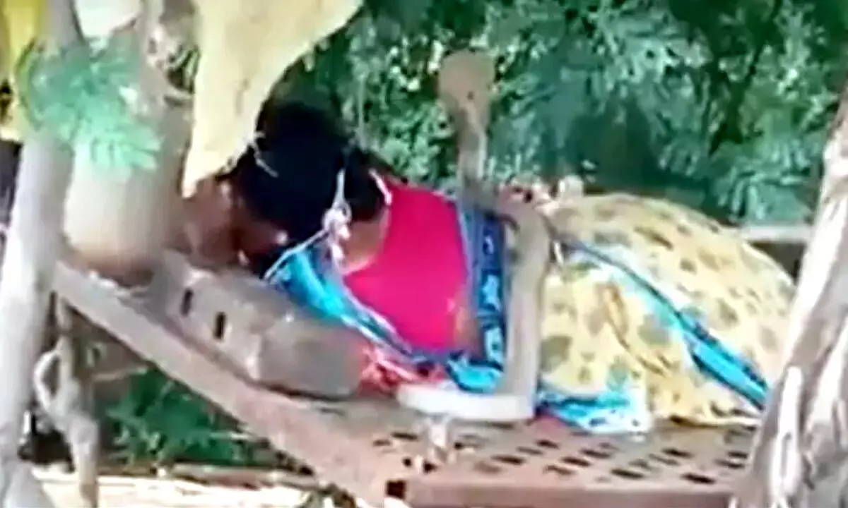 Watch The Trending Video Of Snake Climbing On Top Of Woman Resting In Field