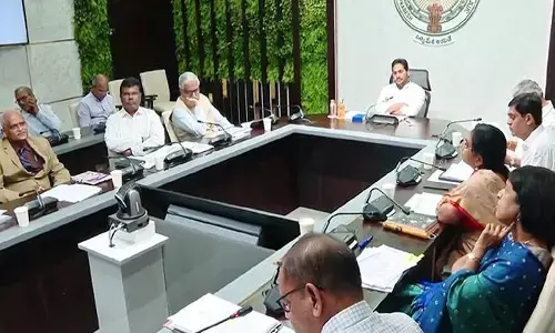 YS Jagan decides to raise pending bifurcation issues at Southern states meeting