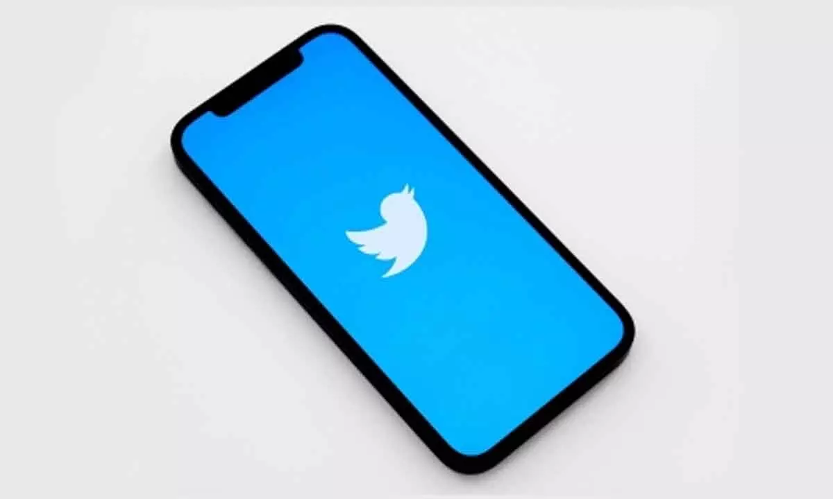 Twitter planned to make money via monetising porn on its platform