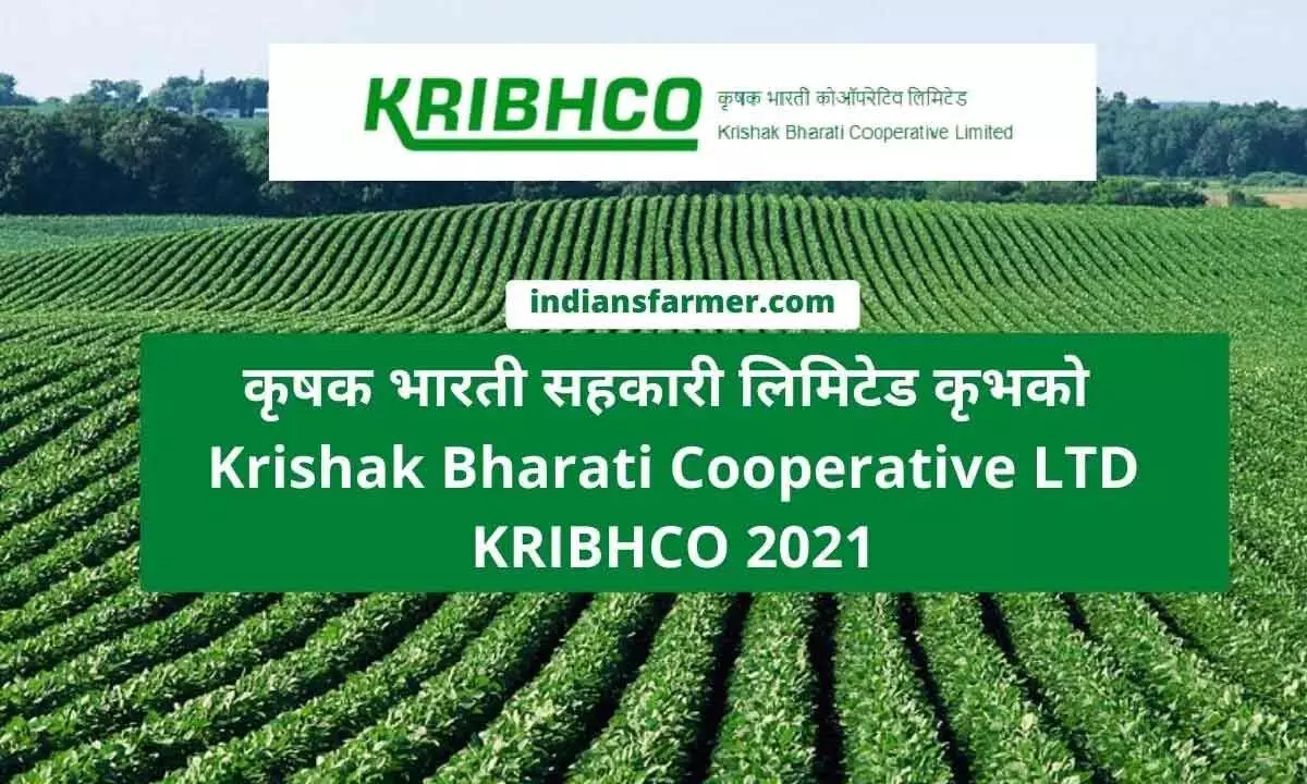 Decks cleared for Kribhco fertiliser plant at Sarvepalli