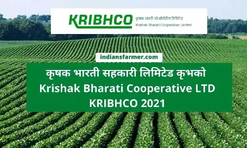 Decks cleared for Kribhco fertiliser plant at Sarvepalli
