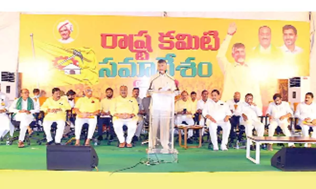 TDP yet to decide on alliances for 2024 polls: Naidu