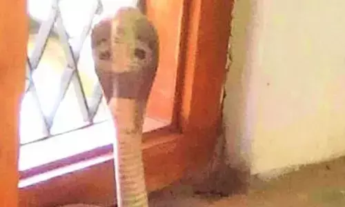 For representational purpose