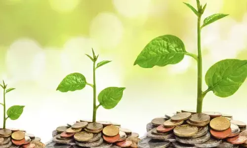 How purposeful growth can catapult a business to glory