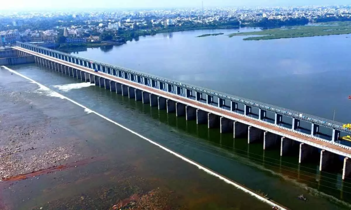 A view of Nellore barrage