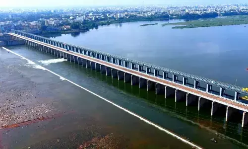 A view of Nellore barrage