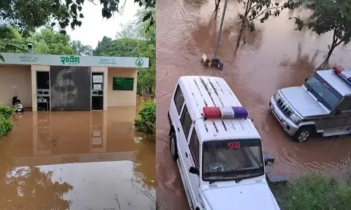 One dies in heavy rain, crops destroyed, houses damaged