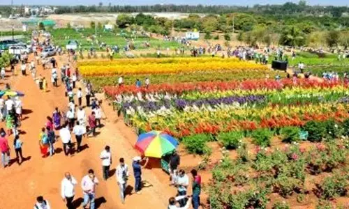 BDA chief upset as Hesaraghatta grassland is declared reserve area