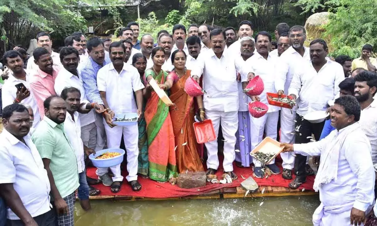 Agriculture Minister Singireddy Niranjan Reddy releasing fish seeds in a reservoir on Friday