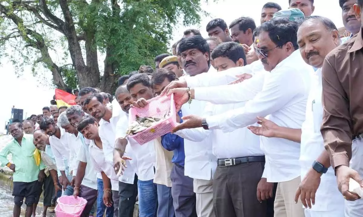 Minister for Panchayat Raj and Rural Development Errabelli Dayakar Rao releasing fish seedlings in the Madannapet tank near Narsampet town of Warangal district on Friday