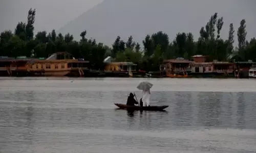 For representational purpose