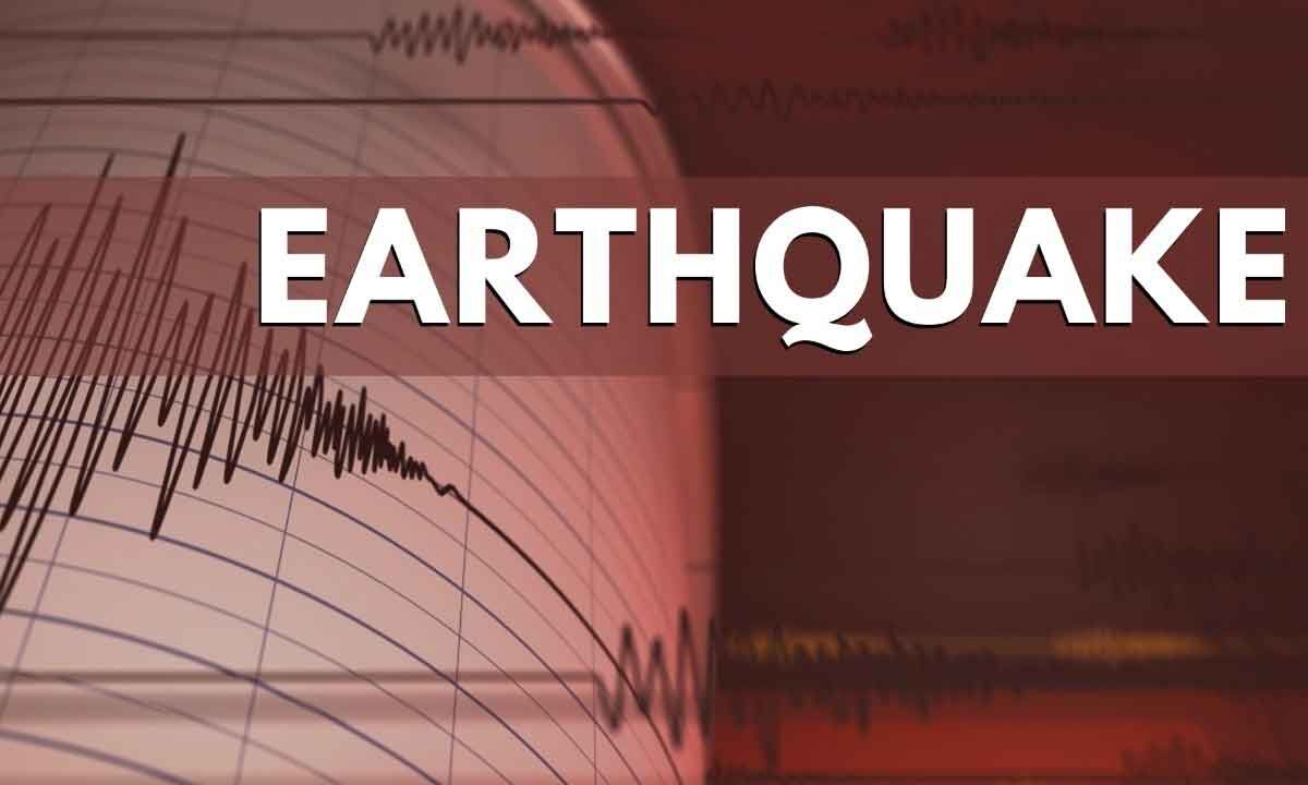 Strong earthquake jolts western Indonesia, no casualty reported