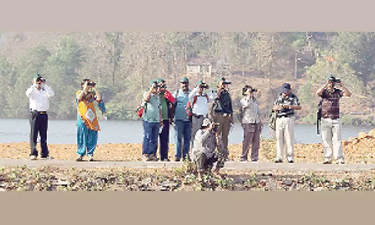 Bird watchers affirm seeing 162 species at Kaiga