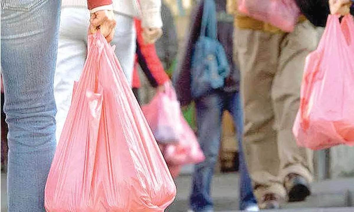 Govt orders have little impact on plastic ban