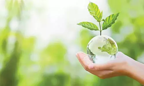 Sustainability Through Energy Efficiency Becomes a Key Focus in the Strategic Planning of Major Companies, Says IT Specialist