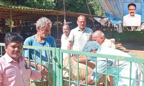 Assistant Director K Ravi Kumar and his team from MR Palli Veterinary Area Hospital administering LSD vaccine to a cow at ISKCON Gosala on Tuesday.
