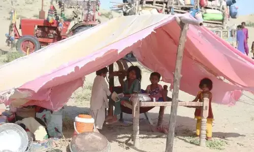 Dengue cases soaring in Pak amid record flooding