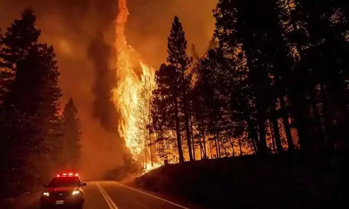 Massive wildfire explodes to become largest in California this year