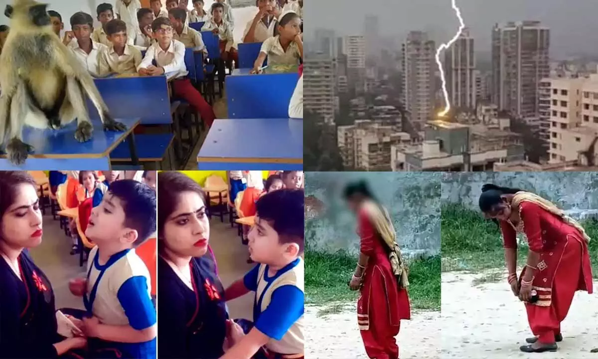 Top Trending Videos Of The Week