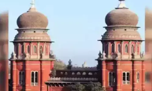 No Plans Exist To Return Elephant Joymala To Assam: Tamil Nadu Government Informs Madras High Court