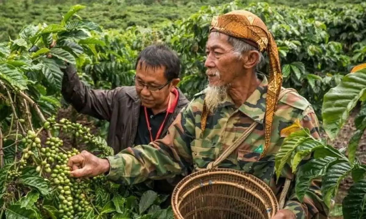 Coffee grower community expresses ire as AP gets 4 members