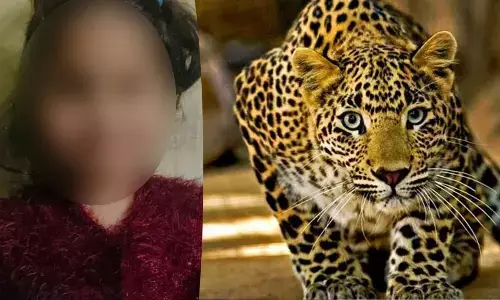 For representational purpose