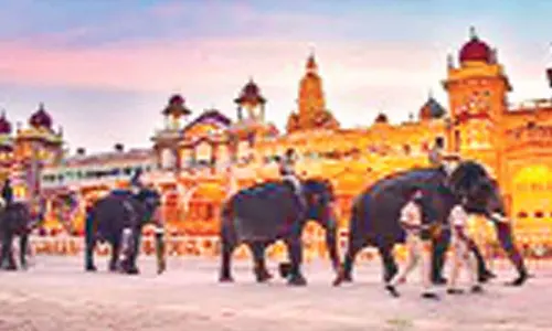 Animal rights activists opposed to the use of animals