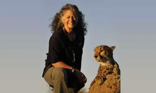 India to get more Cheetahs over the years