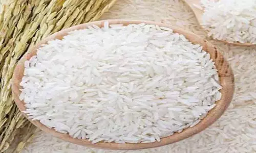 Fall in Kharif output may keep rice prices at elevated levels