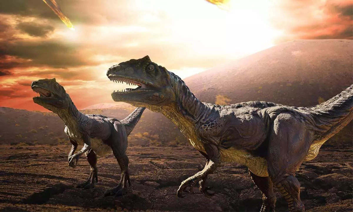 Dinosaurs were in decline even before extinction