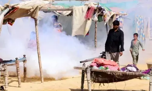 Dengue rampage continues in Pak with over 1,000 new cases in 24 hrs