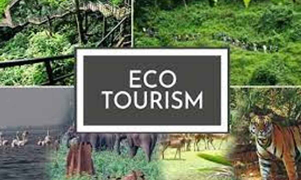 eco tourism example in india