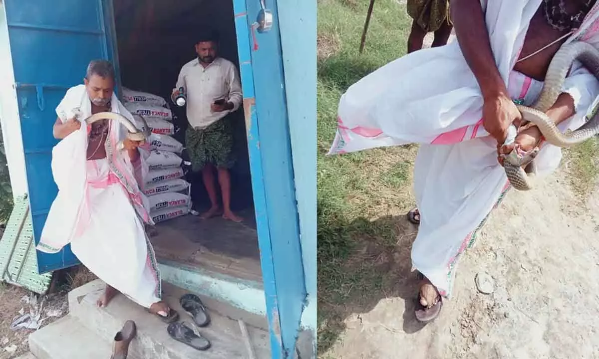 Priest dies of snake bite in Gudidibba village in Krishna district