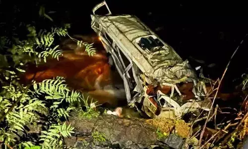 Seven tourists killed, 10 injured in Himachal road accident