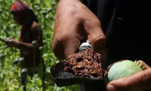 Narco terrorism – An emerging grave threat