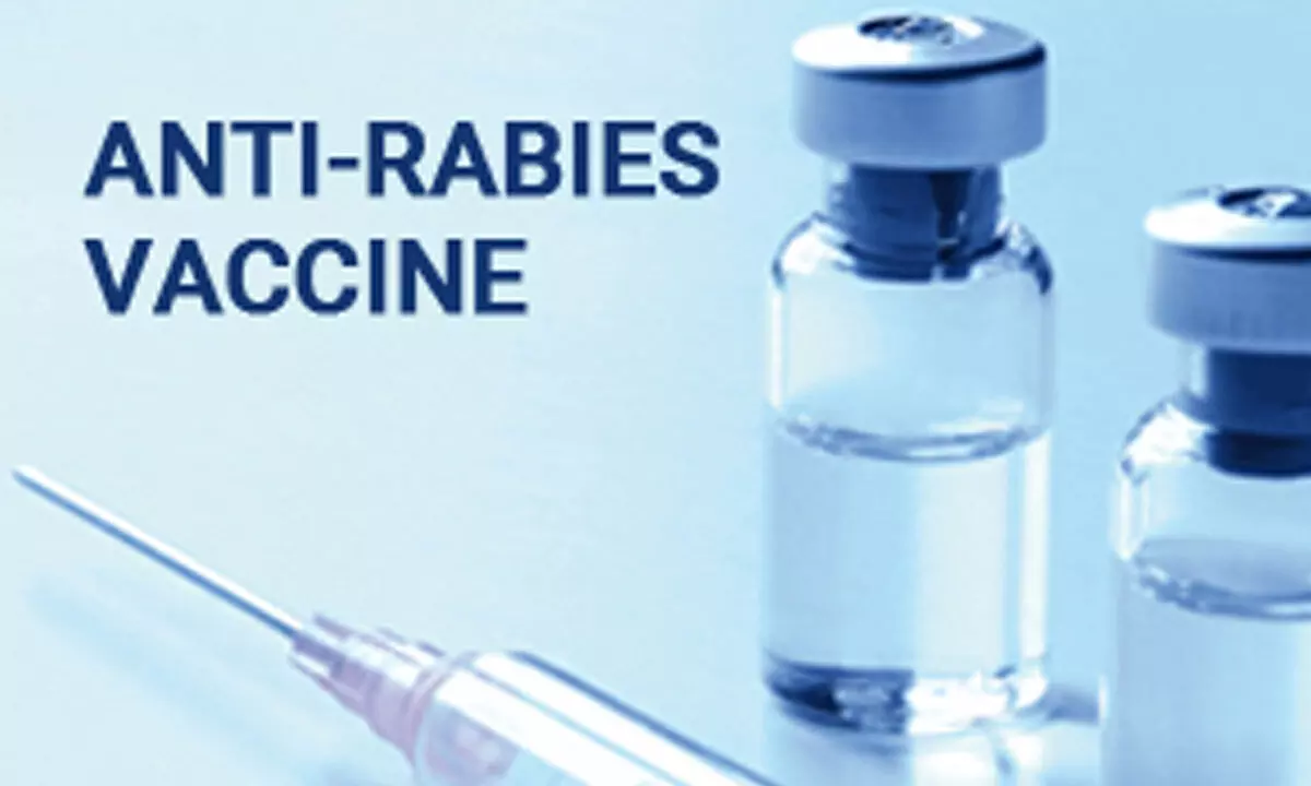 Health Experts In Kerala Recommend All To Take Anti-Rabies Vaccine For Everyone
