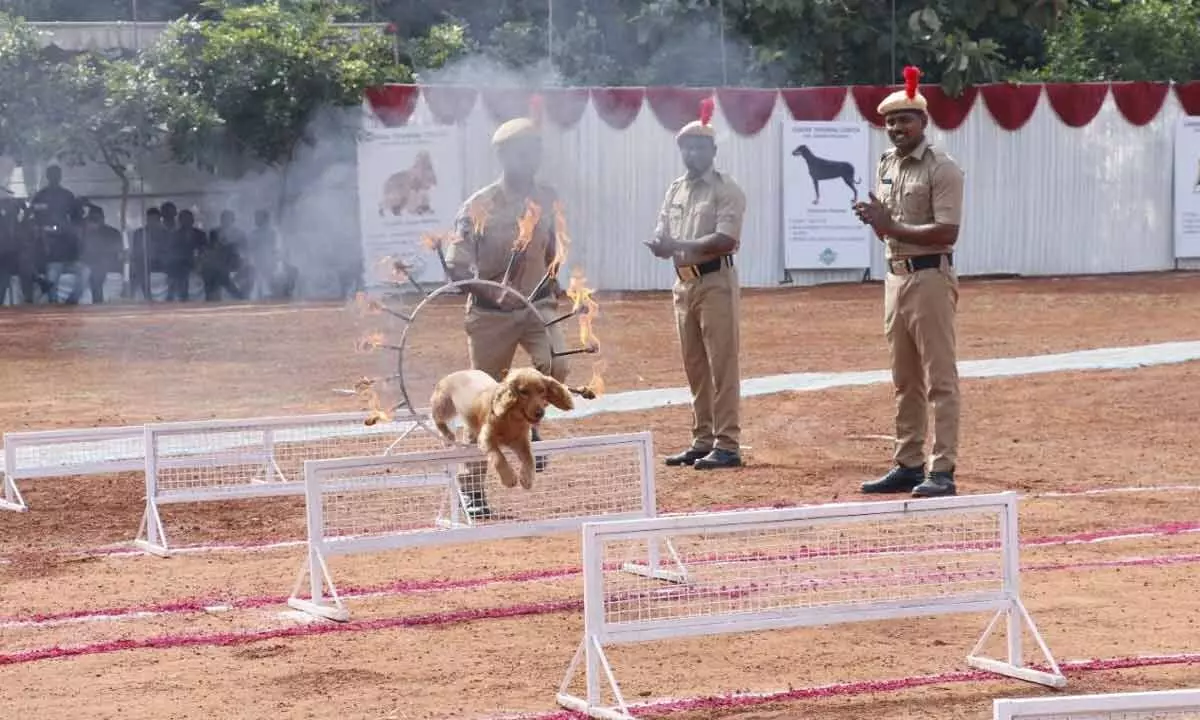 A canine doing a feat during passing out parade at 6th APSP Battalion in Mangalagiri on Wednesday
