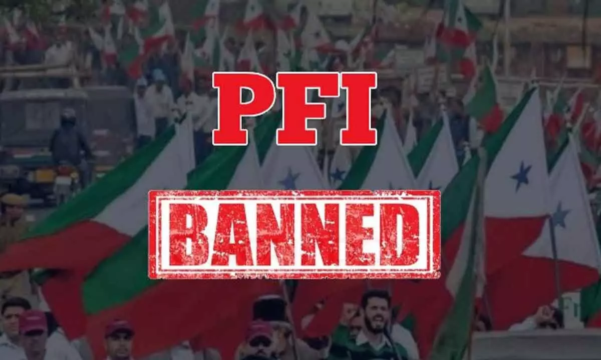 Centre bans PFI for 5 yrs