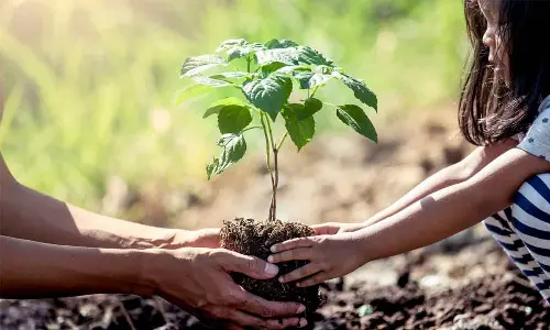 FBH memorial meeting stresses on planting trees