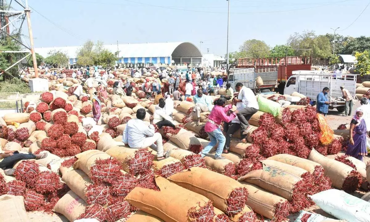 File pic: Enumamula Agriculture Market Yard