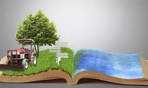 Representational image