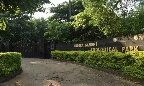 IGZP to celebrate Wildlife Week