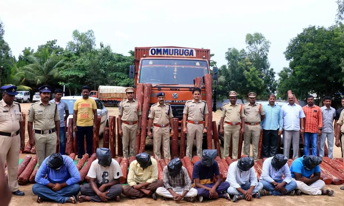 8 Red sanders smugglers held,122 red sander logs worth Rs.1.22 cr seized
