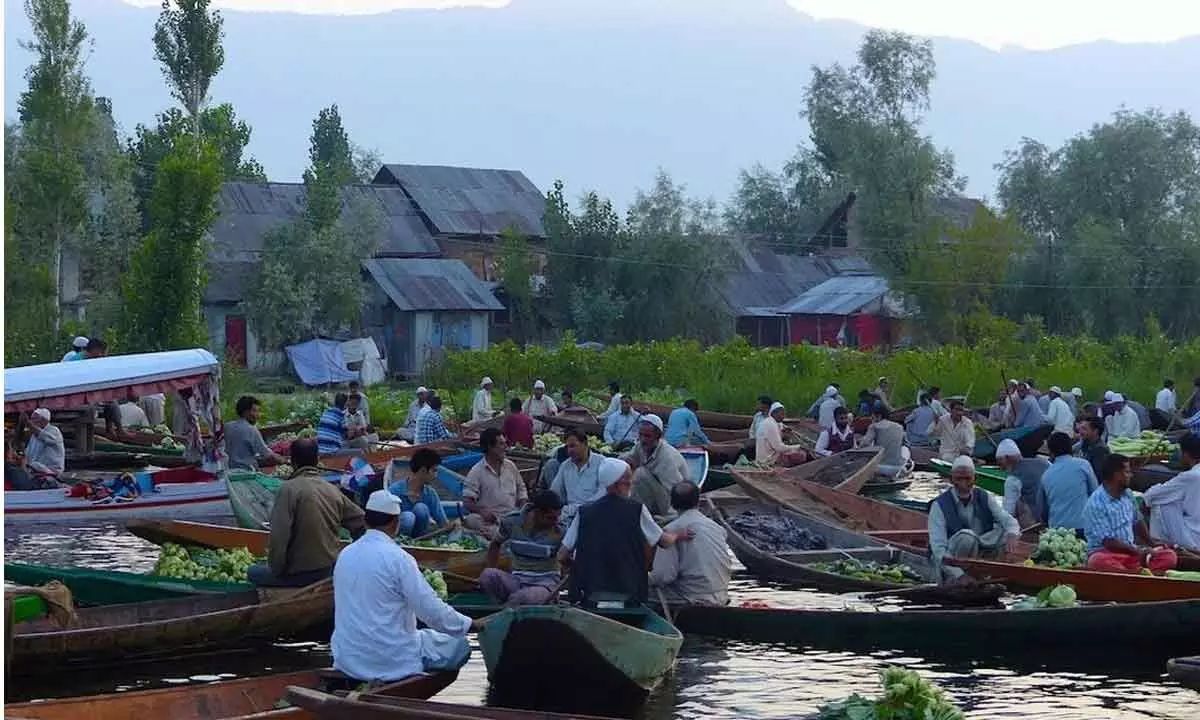 Diving into still waters: Remarkable life on the Dal Lake